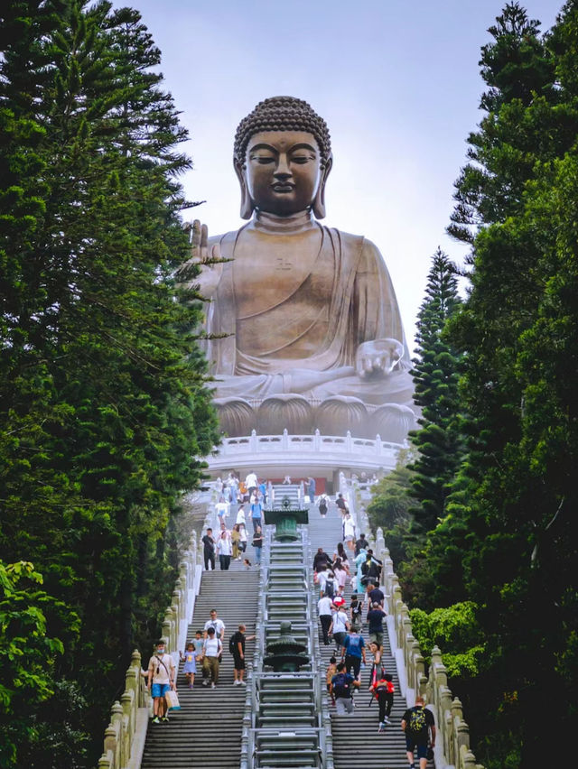 【香港大嶼山1日遊】昂坪360全景纜車🏖️，寶蓮禪寺🔥，方便又舒適！😍