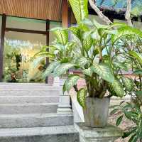 Fat Bamboo Cafe: A Refreshing Gem in Putuo village Kulai