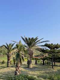 제주 산방산 근처 예쁜 뷰포인트🌴