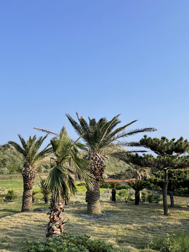 제주 산방산 근처 예쁜 뷰포인트🌴