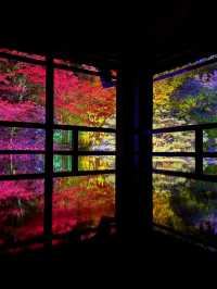 〜滋賀県〜美しすぎる旧竹林院ライトアップ✨