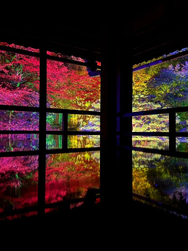 〜滋賀県〜美しすぎる旧竹林院ライトアップ✨