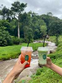 หลงเขาคาเฟ่ | น่าน ⛰️🌦️🌳🍰