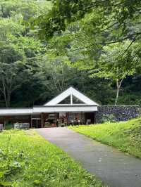 💚 홋카이도의 여름 산의 자연경관을 흠뻑 느껴보실 수 있는 명승지 스팟 🏞️💚