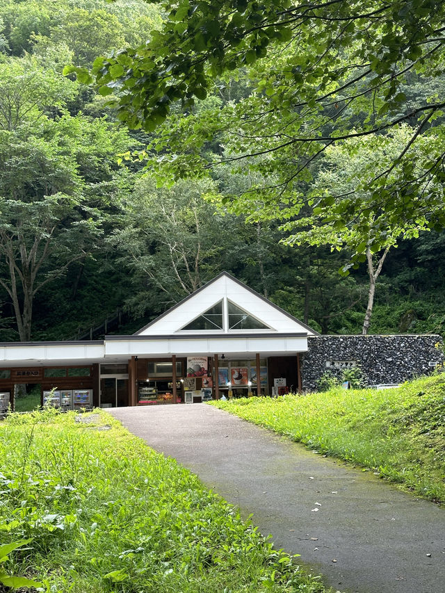 💚 홋카이도의 여름 산의 자연경관을 흠뻑 느껴보실 수 있는 명승지 스팟 🏞️💚
