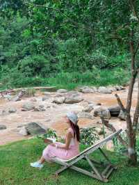 🌿Stay Wild & Café ที่พักและคาเฟ่ริมลำธารเชียงใหม่