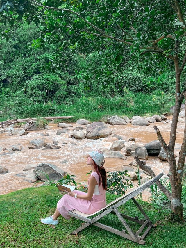 🌿Stay Wild & Café ที่พักและคาเฟ่ริมลำธารเชียงใหม่