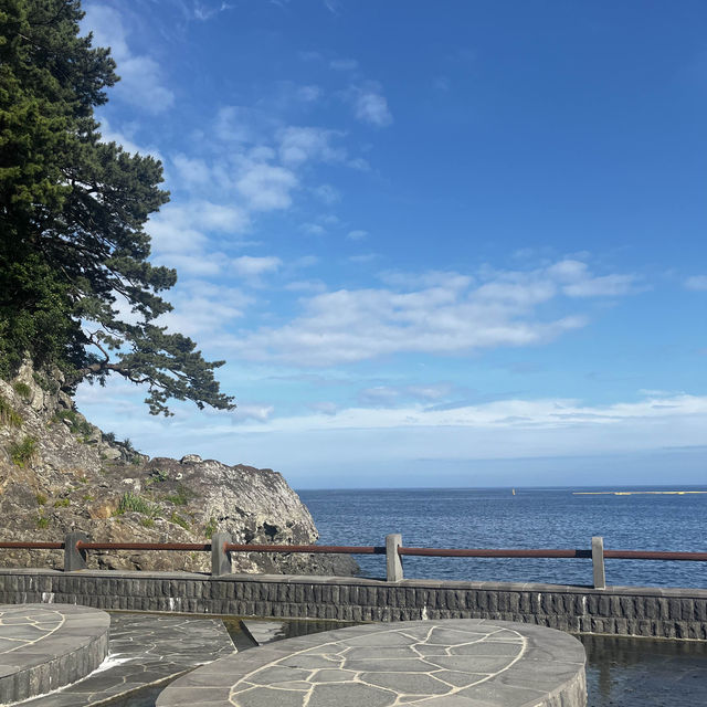 제주도의 멋진 절벽과 바다풍경을 보며 힐링을!