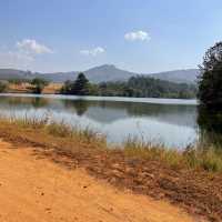 Pedal Through Wildlife in Eswatini’s Best-Kept Secret
