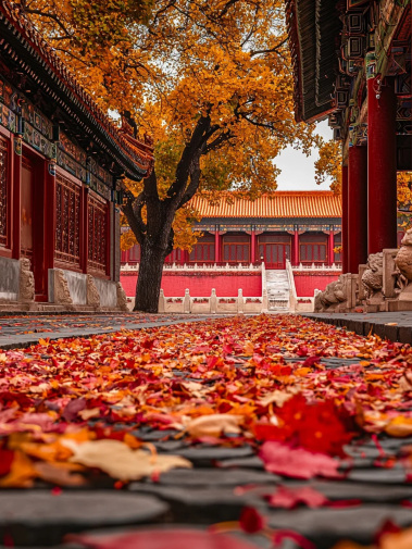 古建築》【北京】紫禁城：600年歷史，感受古代皇室生活和建築藝術