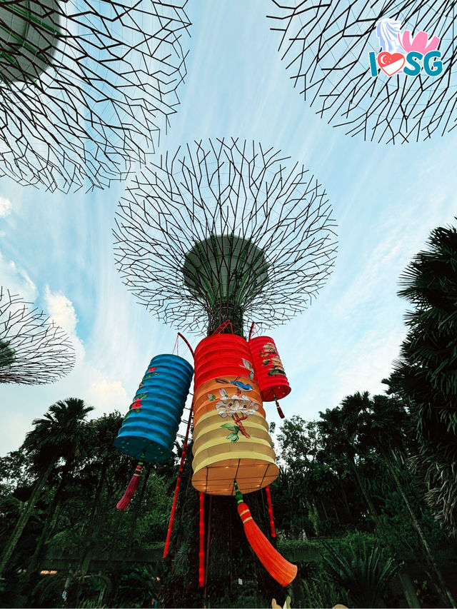 🇸🇬 A date in the garden of lanterns