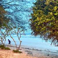 📌 เที่ยวชายหาด หาดทุ่งวัวแล่น