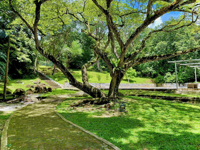 Perfect spot to unwind and connect with nature😎🇲🇾