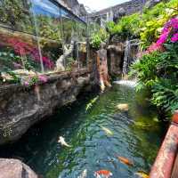 🇲🇾 Underwater World Langkawi: Your Gateway to Ocean Adventures
