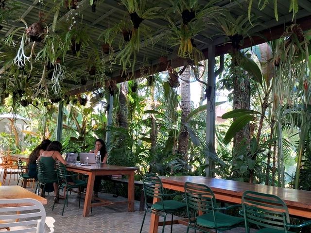 【バリ島】ウブドの開放的なカフェに行ってきました！