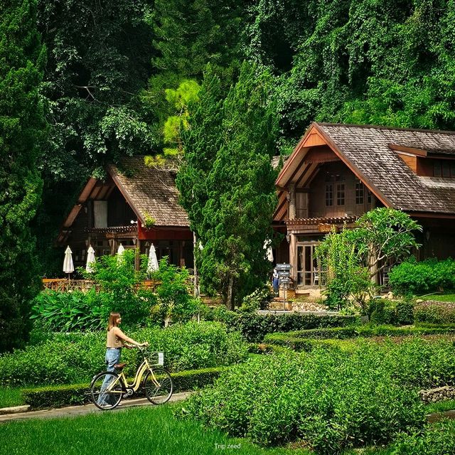 ที่พักเชียงใหม่ ท่ามกลางสวน แบะลำธาร