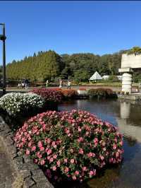 〜神奈川県〜ドラマ、映画の撮影にも使われる！相模原公園