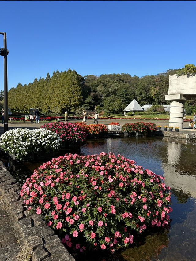 〜神奈川県〜ドラマ、映画の撮影にも使われる！相模原公園