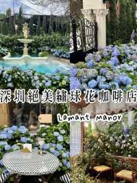 《深圳絕美繡球花咖啡店》