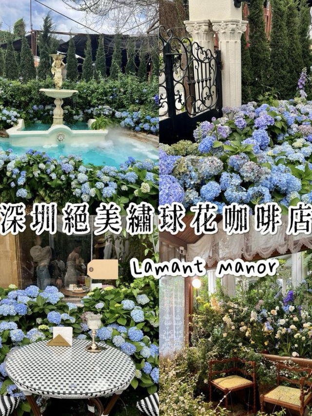 《深圳絕美繡球花咖啡店》