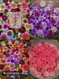 〜埼玉県〜【保存必須】MAP有！今年で最後かも花手水イベント