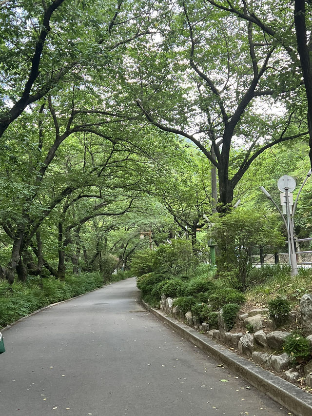 大邱景點 前山瞭望台