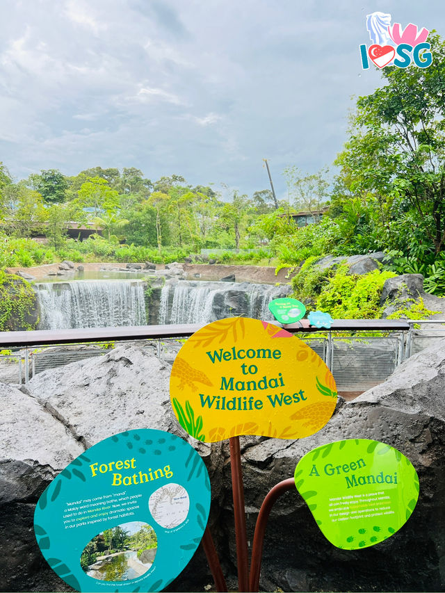 🇸🇬 Bird Paradise also have waterfall