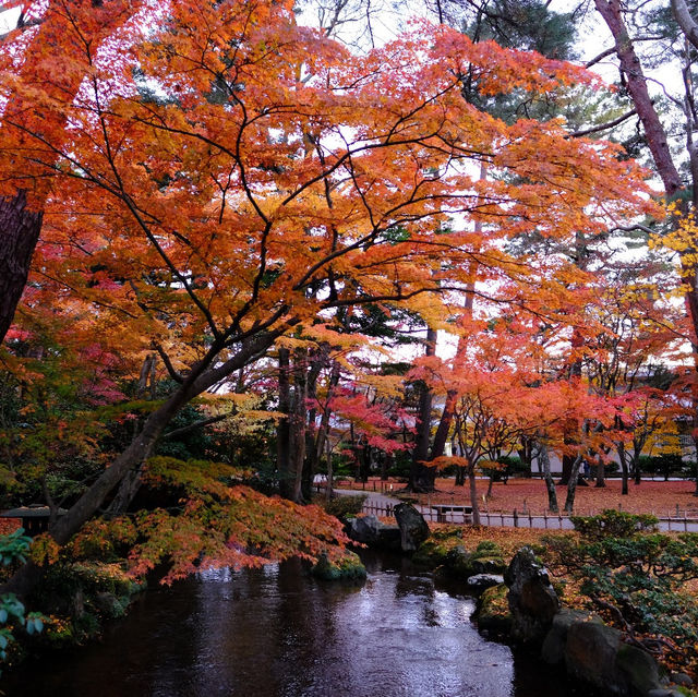 🍁 金澤兼六園:打卡紅葉仙境,感受江戶風情