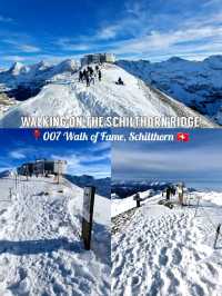 🇨🇭 Walking on the Schilthorn Ridge📍007 Walk of Fame, Schilthorn