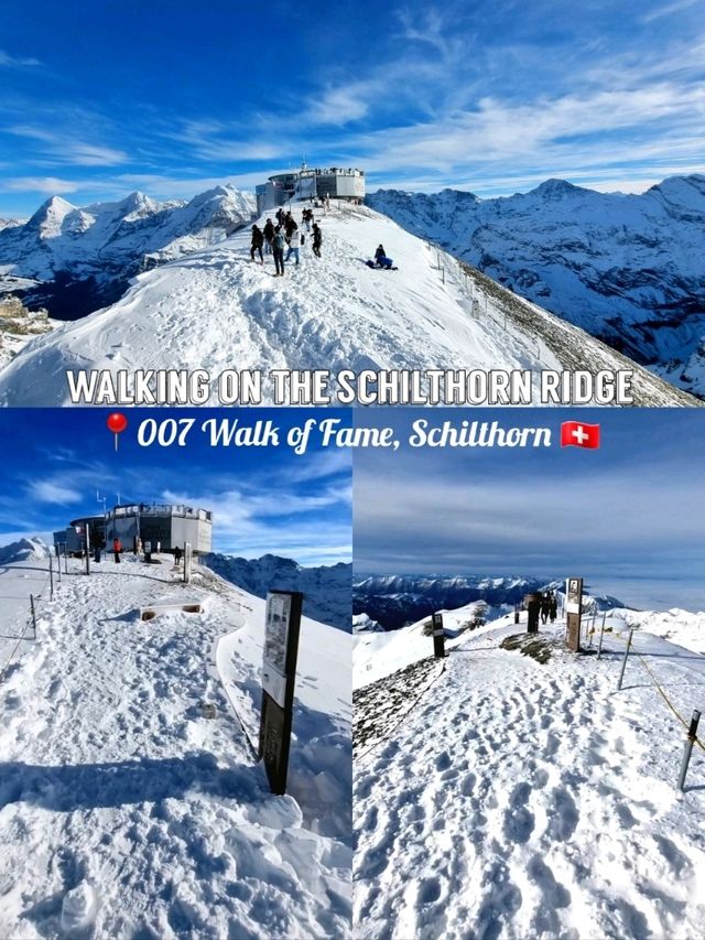 🇨🇭 Walking on the Schilthorn Ridge📍007 Walk of Fame, Schilthorn