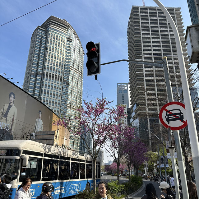 4月連假上海快樂行