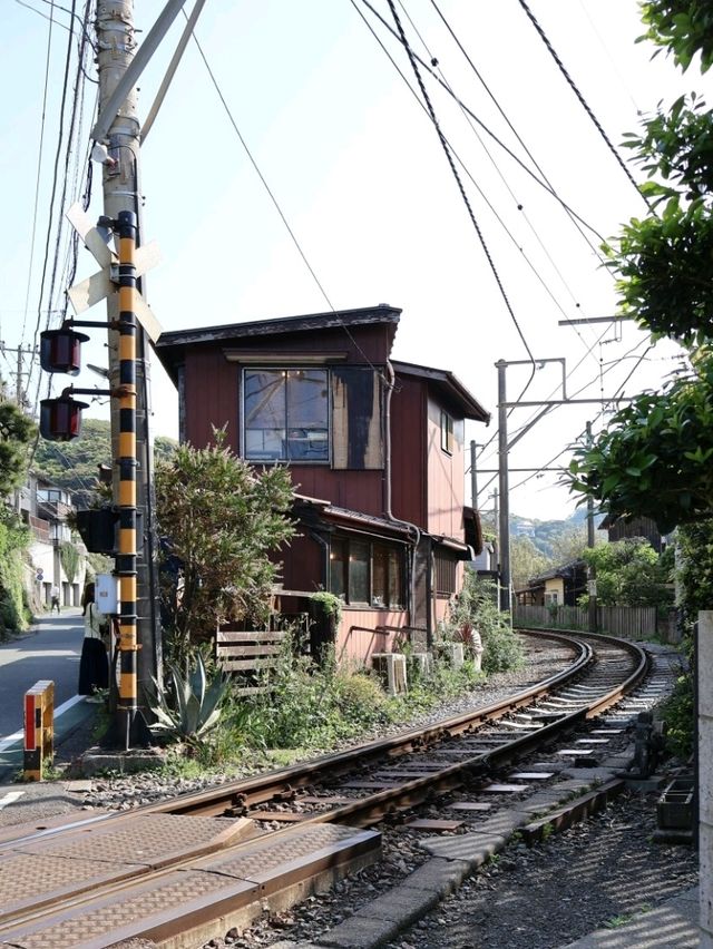 䥥倉 🚞 稻村ケ崎 Cafe Yoridocoro ヨリドコロ超級人氣👍燒魚🐟 早餐定食 🚃朝ごはん