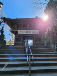 ✨️日本東京高尾山🎋✨️