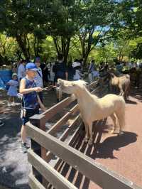 近距離餵動物嘅難忘體驗 