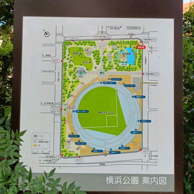 横浜観光おすすめスポット✨横浜公園『彼我公園』