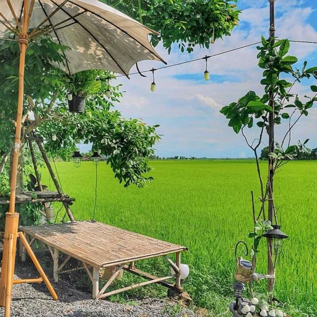 Hello Sunday! เมนูมะพร้าวพร้อมเสริฟค่ะ🌴🥥🥥