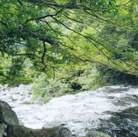 Cheonjeyeon Waterfall 