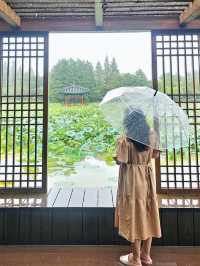 전주 사진찍기 좋은 명소 덕진공원