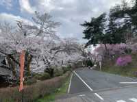 長瀞　宝登山神社