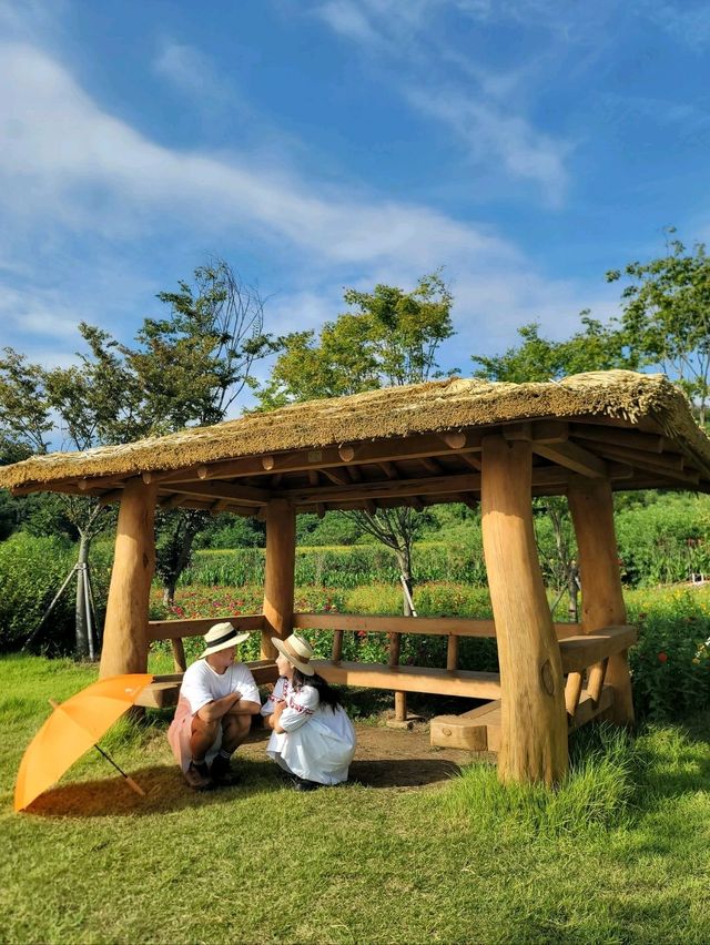 지금 가야할 연천 임진강댑싸리공원💚