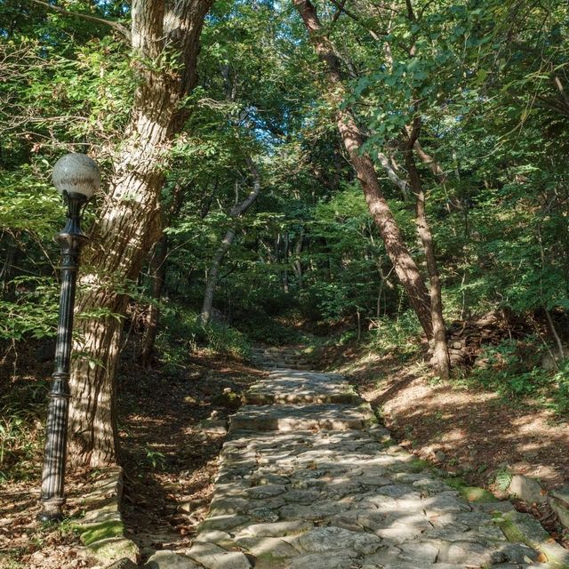 고요하고 시원한 산책길