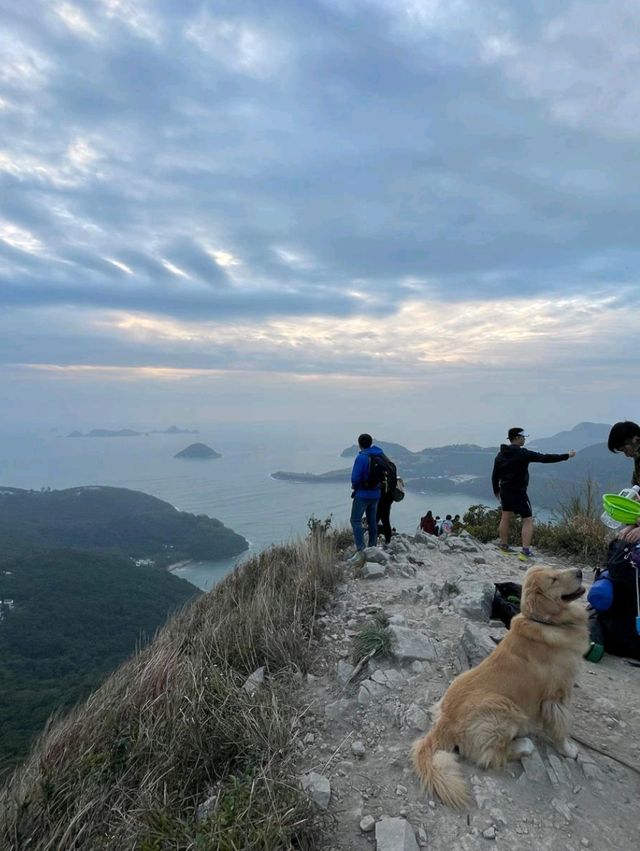 釣魚翁最短輕鬆的行山日出路線：狗狗都可以一齊睇日出