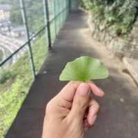 วัดนันโซอิน ฟุกุโอกะ จุดเช็คอินยอดฮิต ดังโชคลาภ