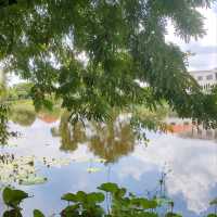 ก๋วยเตี๋ยวเรือร้านลับริมสระน้ำ เมืองทองธานี