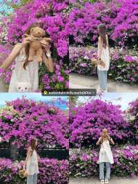 บอกต่อ 4 จุดถ่ายรูปวิวสวยที่พัทยา