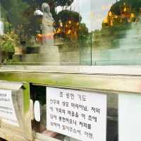 大邱ㅣ桂山聖堂ㅣ哥德式紅磚教堂