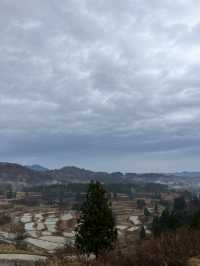 【新潟県･十日町市】絶景棚田スポット！🌾
