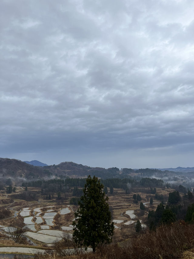 【新潟県･十日町市】絶景棚田スポット！🌾