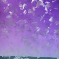 茨城　大洗水族館🪼