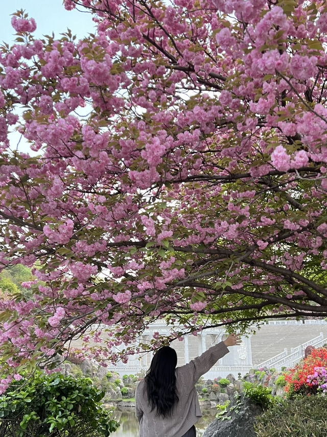 kyung hee global campus